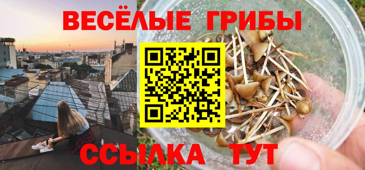 Галлюциногенные грибы Psilocybe  Вход с VPN  Иваново 